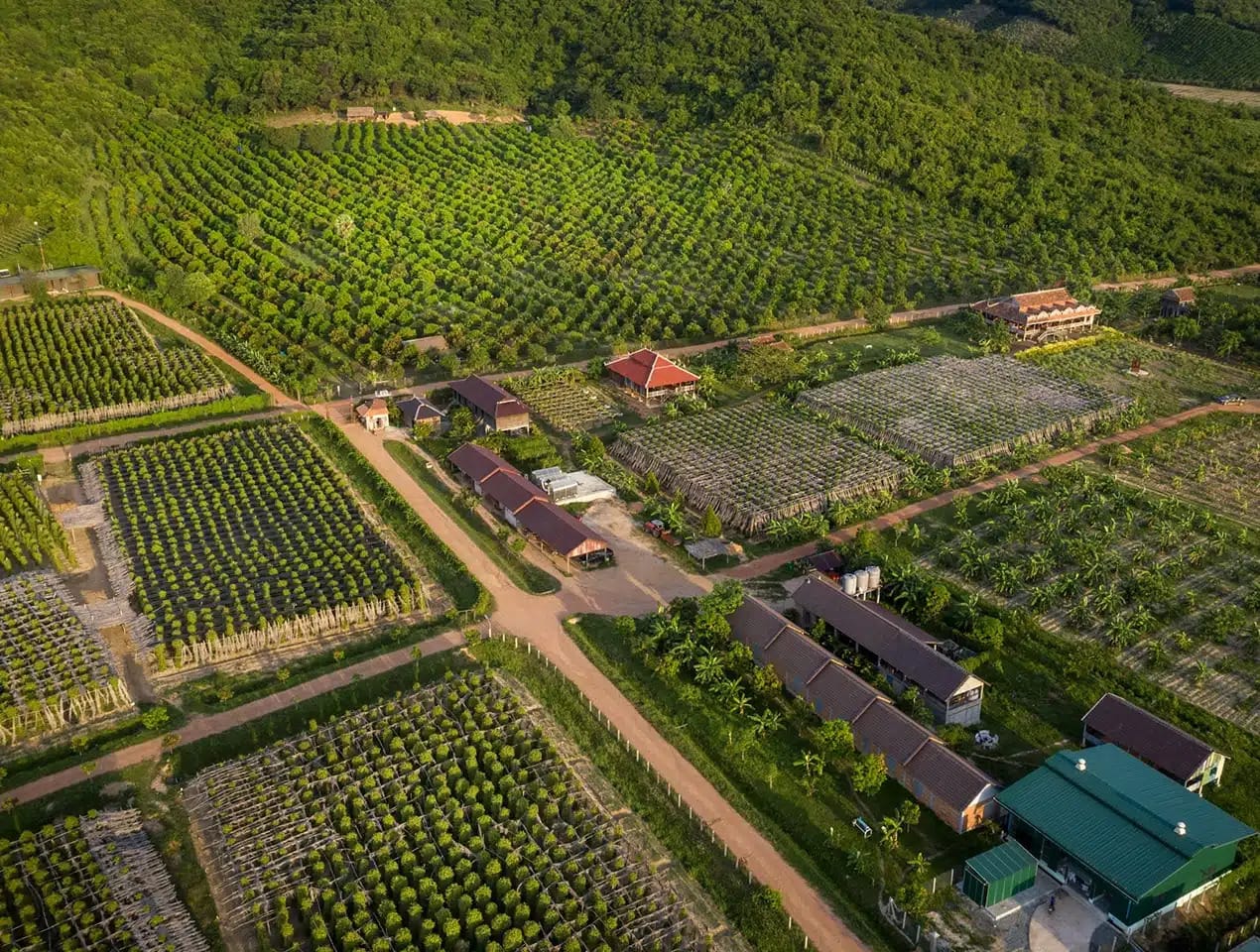 3-visite-vuedrone