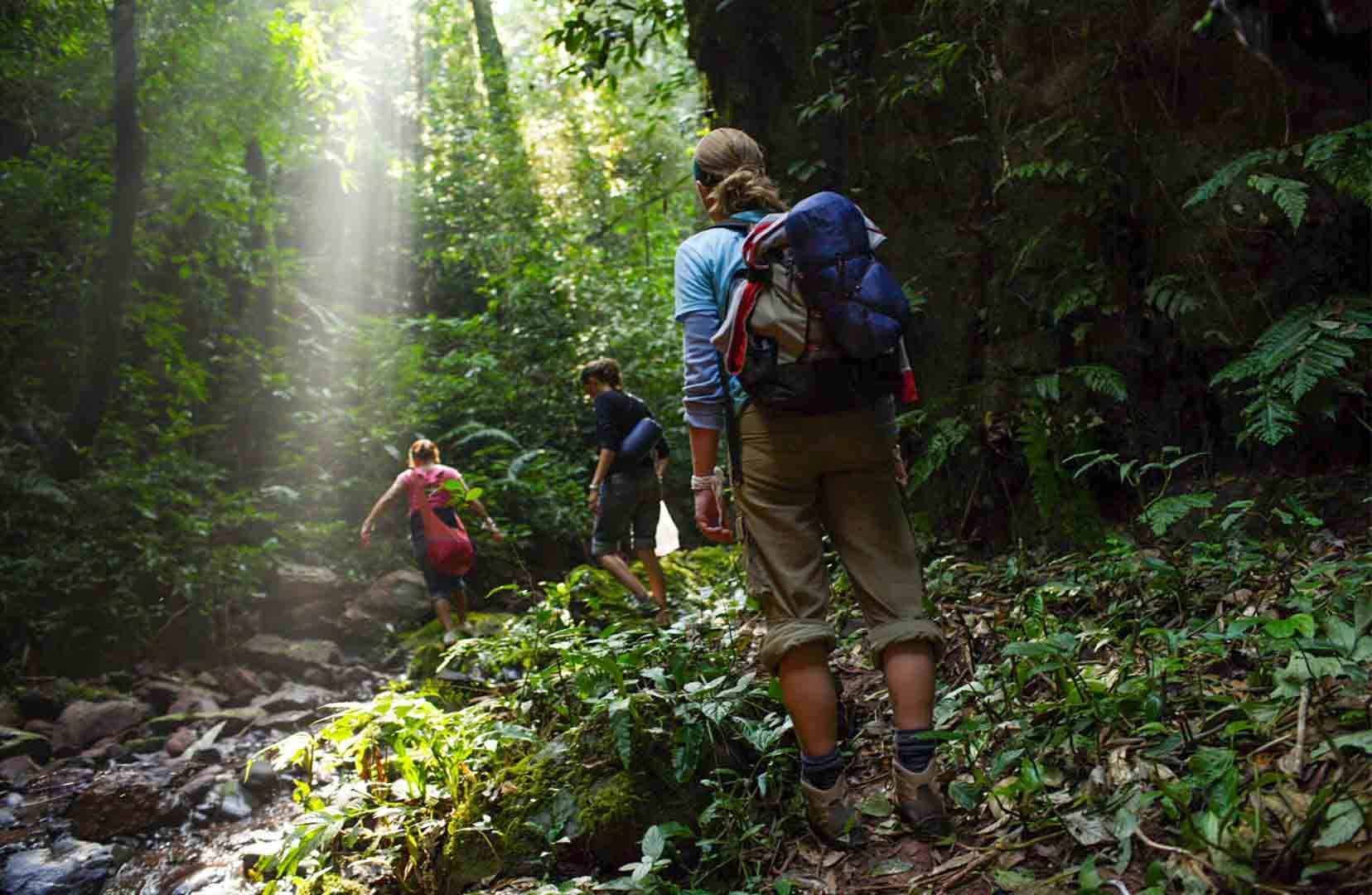 Trekking'