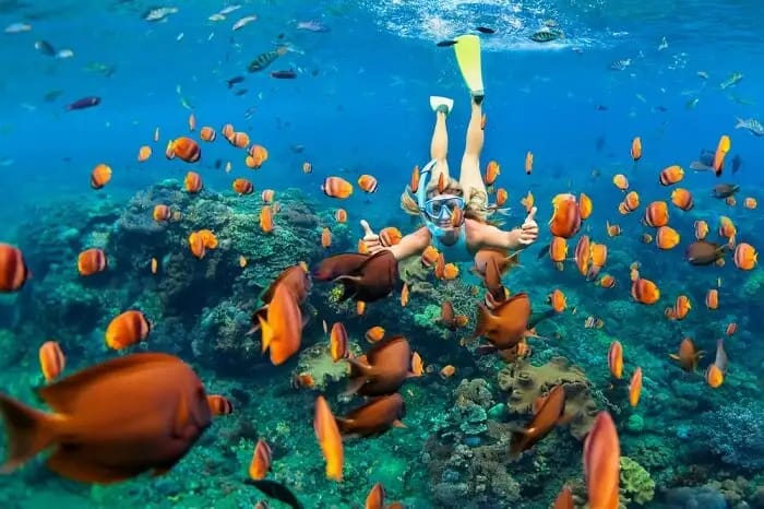 cover-for-snorkeling-in-cambodia